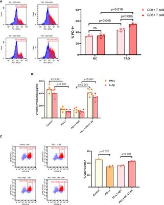 PD-L1 Inhibits T Cell-Induced Cytokines and Hyaluronan Expression via the CD40-CD40L Pathway in Orbital Fibroblasts From Patients With Thyroid Associated Ophthalmopathy